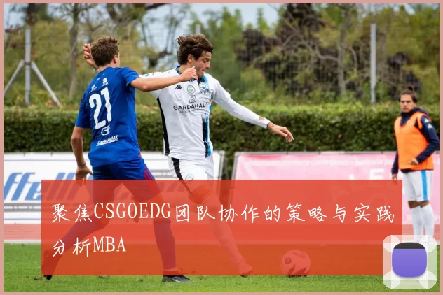 聚焦CSGOEDG团队协作的策略与实践分析MBA