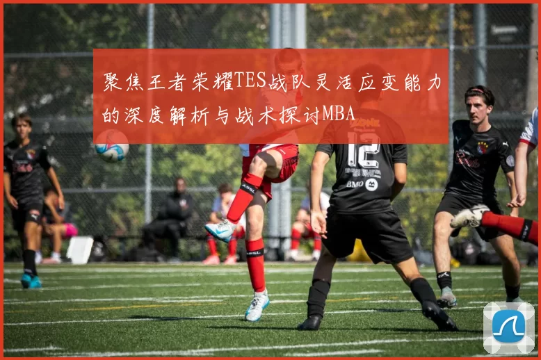 聚焦王者荣耀TES战队灵活应变能力的深度解析与战术探讨MBA
