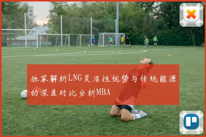 独家解析LNG灵活性优势与传统能源的深度对比分析MBA