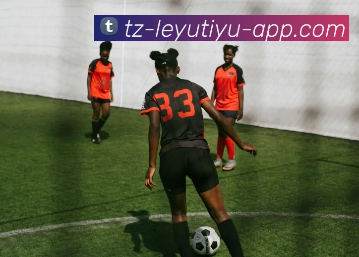 leyu乐鱼体育app下载APP 高清赛事图